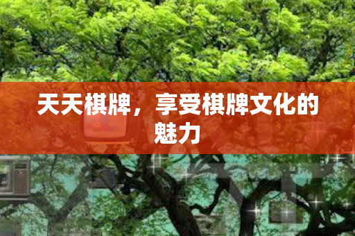 天天棋牌,享受棋牌文化的魅力 天天棋牌,享受棋牌文化的魅力