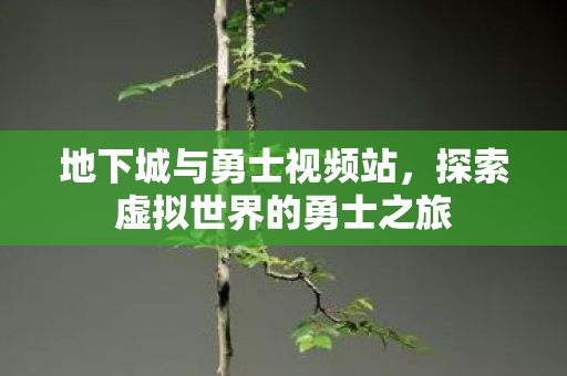 地下城与勇士视频站,探索虚拟世界的勇士之旅 地下城与勇士视频站,探索虚拟世界的勇士之旅