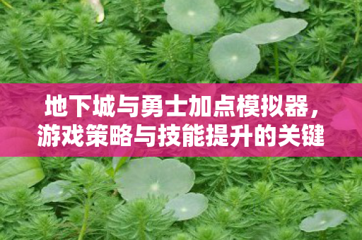 地下城与勇士加点模拟器,游戏策略与技能提升的关键工具 地下城与勇士加点模拟器,游戏策略与技能提升的关键工具