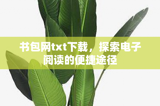 书包网txt下载,探索电子阅读的便捷途径 书包网txt下载,探索电子阅读的便捷途径