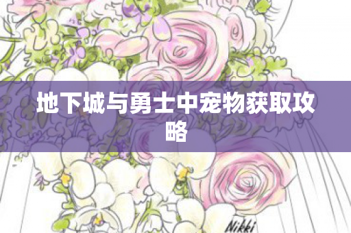 地下城与勇士中宠物获取攻略 地下城与勇士中宠物获取攻略
