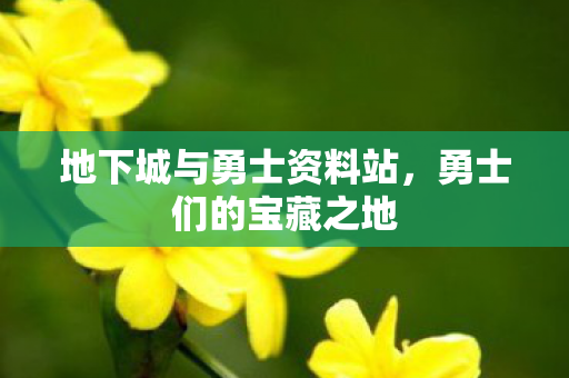 地下城与勇士资料站,勇士们的宝藏之地 地下城与勇士资料站,勇士们的宝藏之地