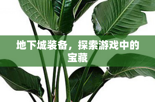 地下城装备,探索游戏中的宝藏 地下城装备,探索游戏中的宝藏