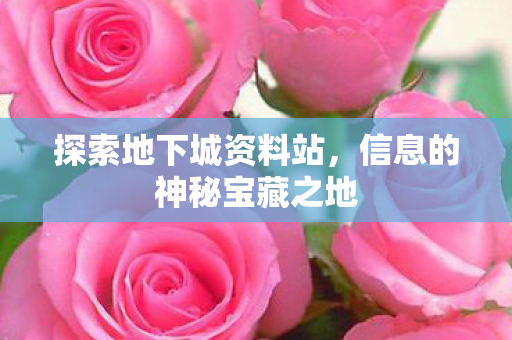 探索地下城资料站,信息的神秘宝藏之地 探索地下城资料站,信息的神秘宝藏之地