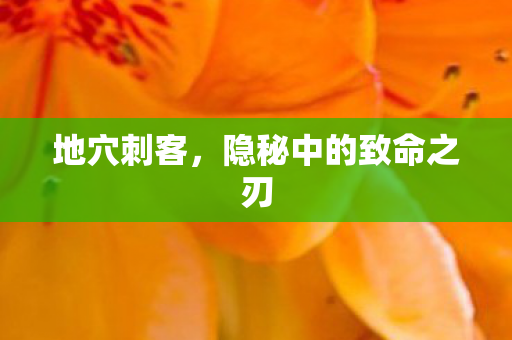 地穴刺客,隐秘中的致命之刃 地穴刺客,隐秘中的致命之刃