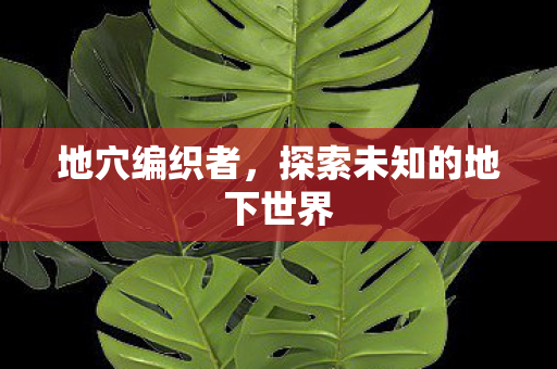 地穴编织者，探索未知的地下世界