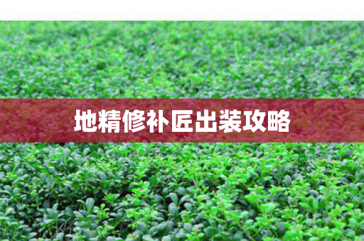 地精修补匠出装攻略 地精修补匠出装攻略