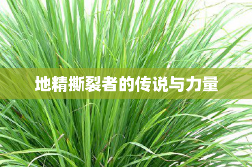 地精撕裂者的传说与力量 地精撕裂者的传说与力量