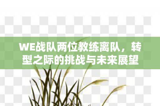 WE战队两位教练离队,转型之际的挑战与未来展望 WE战队两位教练离队,转型之际的挑战与未来展望