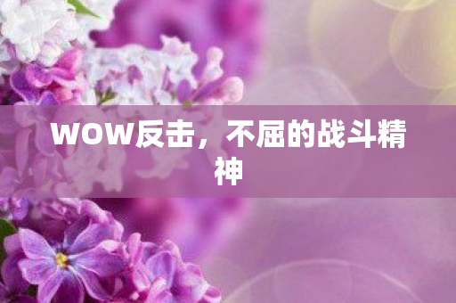 WOW反击,不屈的战斗精神 WOW反击,不屈的战斗精神