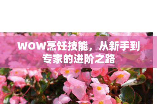 WOW烹饪技能，从新手到专家的进阶之路