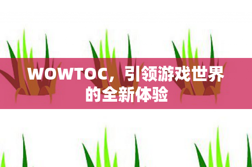 WOWTOC,引领游戏世界的全新体验 WOWTOC,引领游戏世界的全新体验