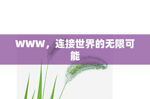 WWW，连接世界的无限可能