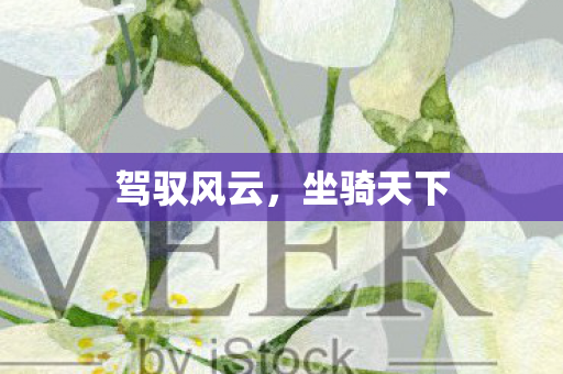 驾驭风云,坐骑天下 驾驭风云,坐骑天下