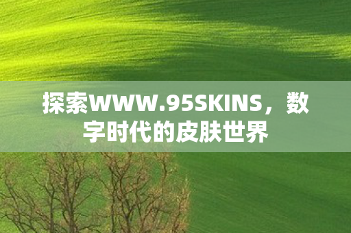 探索WWW.95SKINS，数字时代的皮肤世界