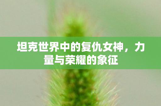 坦克世界中的复仇女神,力量与荣耀的象征 坦克世界中的复仇女神,力量与荣耀的象征