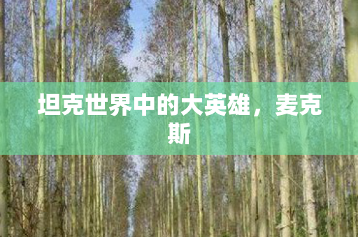 坦克世界中的大英雄,麦克斯 坦克世界中的大英雄,麦克斯