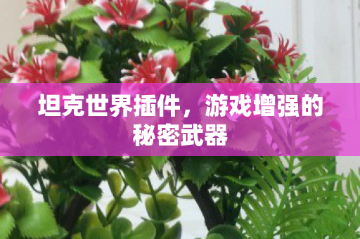 坦克世界插件，游戏增强的秘密武器