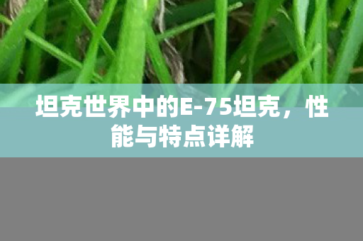 坦克世界中的E-75坦克,性能与特点详解 坦克世界中的E-75坦克,性能与特点详解