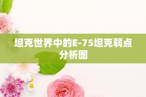 坦克世界中的E-75坦克弱点分析图 坦克世界中的E-75坦克弱点分析图