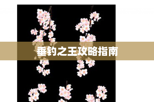 垂钓之王攻略指南 垂钓之王攻略指南