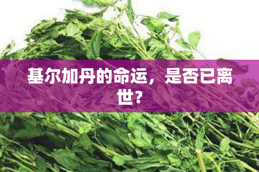 基尔加丹的命运,是否已离世? 基尔加丹的命运,是否已离世?