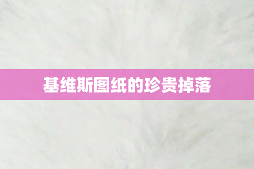 基维斯图纸的珍贵掉落 基维斯图纸的珍贵掉落