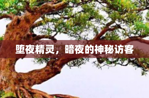 堕夜精灵,暗夜的神秘访客 堕夜精灵,暗夜的神秘访客