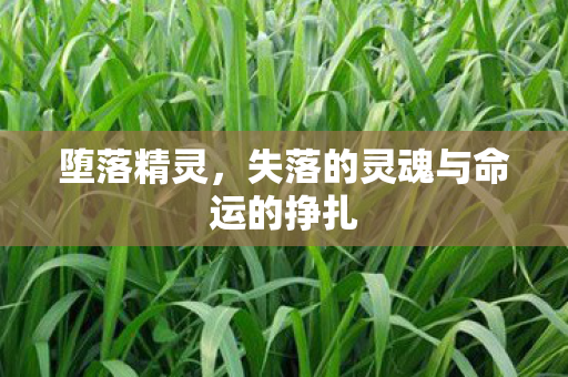 堕落精灵,失落的灵魂与命运的挣扎 堕落精灵,失落的灵魂与命运的挣扎