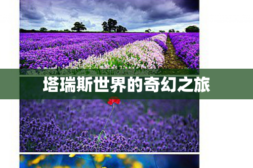 塔瑞斯世界的奇幻之旅