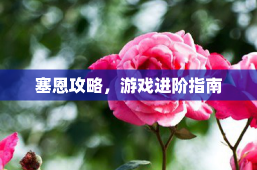 塞恩攻略,游戏进阶指南 塞恩攻略,游戏进阶指南