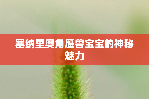 塞纳里奥角鹰兽宝宝的神秘魅力