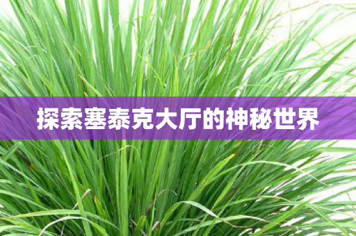 探索塞泰克大厅的神秘世界 探索塞泰克大厅的神秘世界