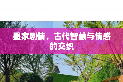 墨家剧情,古代智慧与情感的交织 墨家剧情,古代智慧与情感的交织