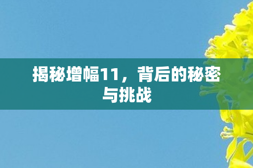 揭秘增幅11，背后的秘密与挑战