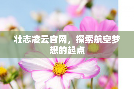 壮志凌云官网,探索航空梦想的起点 壮志凌云官网,探索航空梦想的起点