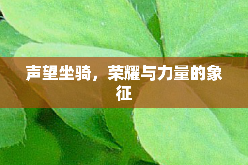 声望坐骑,荣耀与力量的象征 声望坐骑,荣耀与力量的象征