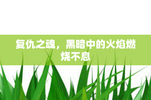 复仇之魂,黑暗中的火焰燃烧不息 复仇之魂,黑暗中的火焰燃烧不息