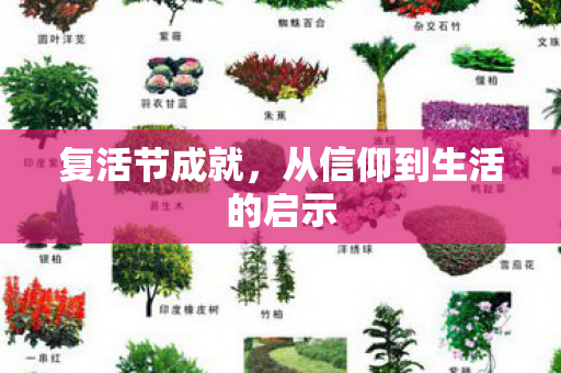 复活节成就,从信仰到生活的启示 复活节成就,从信仰到生活的启示