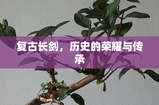 复古长剑,历史的荣耀与传承 复古长剑,历史的荣耀与传承