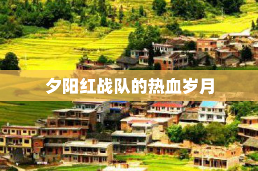 夕阳红战队的热血岁月