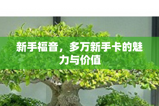 新手福音,多万新手卡的魅力与价值 新手福音,多万新手卡的魅力与价值