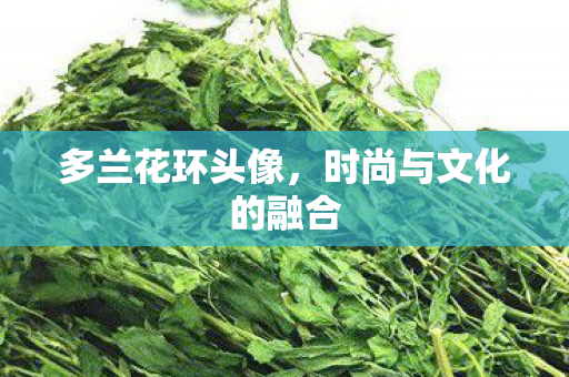 多兰花环头像,时尚与文化的融合 多兰花环头像,时尚与文化的融合