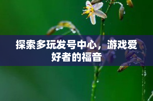 探索多玩发号中心,游戏爱好者的福音 探索多玩发号中心,游戏爱好者的福音