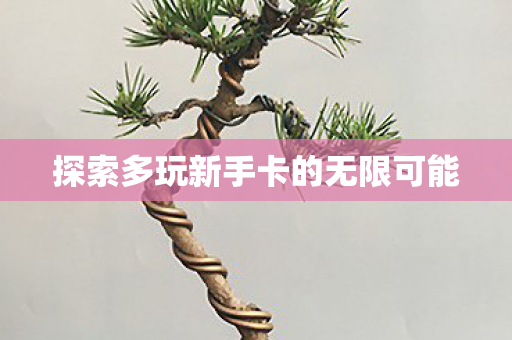 探索多玩新手卡的无限可能 探索多玩新手卡的无限可能