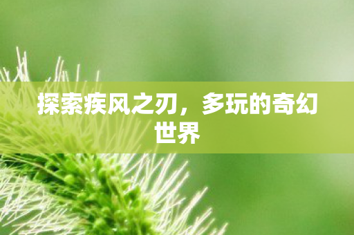 探索疾风之刃,多玩的奇幻世界 探索疾风之刃,多玩的奇幻世界