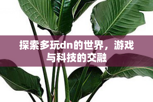 探索多玩dn的世界,游戏与科技的交融 探索多玩dn的世界,游戏与科技的交融