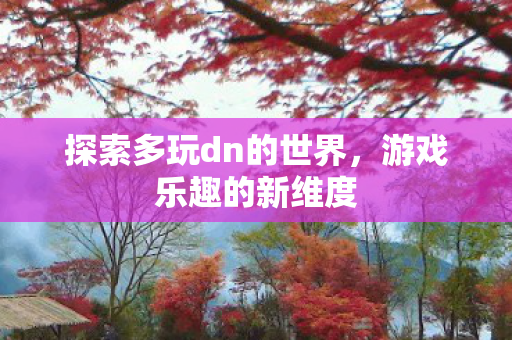 探索多玩dn的世界，游戏乐趣的新维度