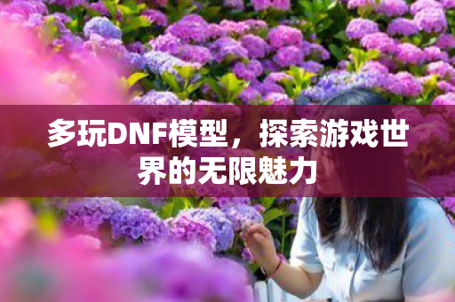 多玩DNF模型，探索游戏世界的无限魅力