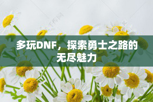 多玩DNF,探索勇士之路的无尽魅力 多玩DNF,探索勇士之路的无尽魅力
